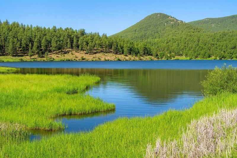 Emergency Water Cleanup in Evergreen, CO